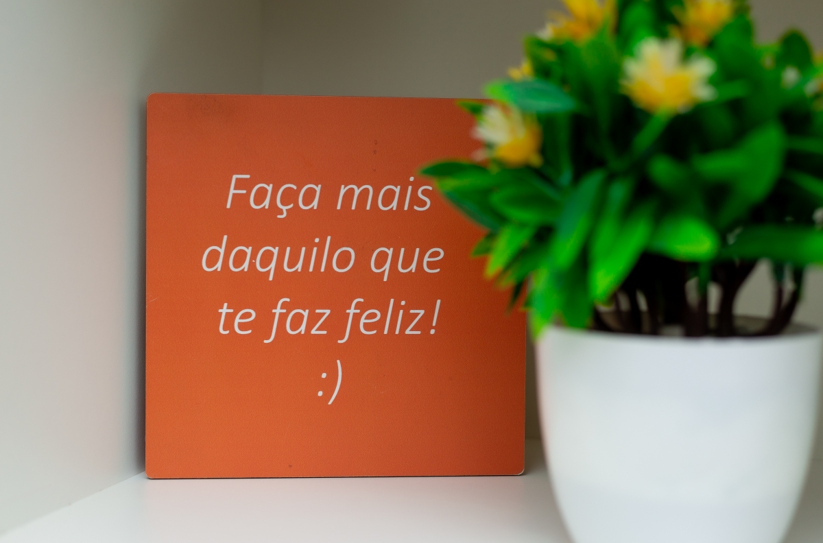 imagem7